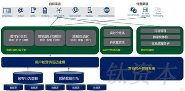 數(shù)字文化創(chuàng)意軟件開發(fā) 中國(guó)零售業(yè)數(shù)字化轉(zhuǎn)型的核心引擎與品類分析