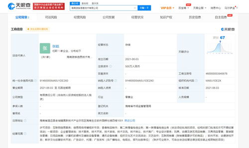 游族網絡海南布局，成立新公司加碼數字文化創意軟件開發